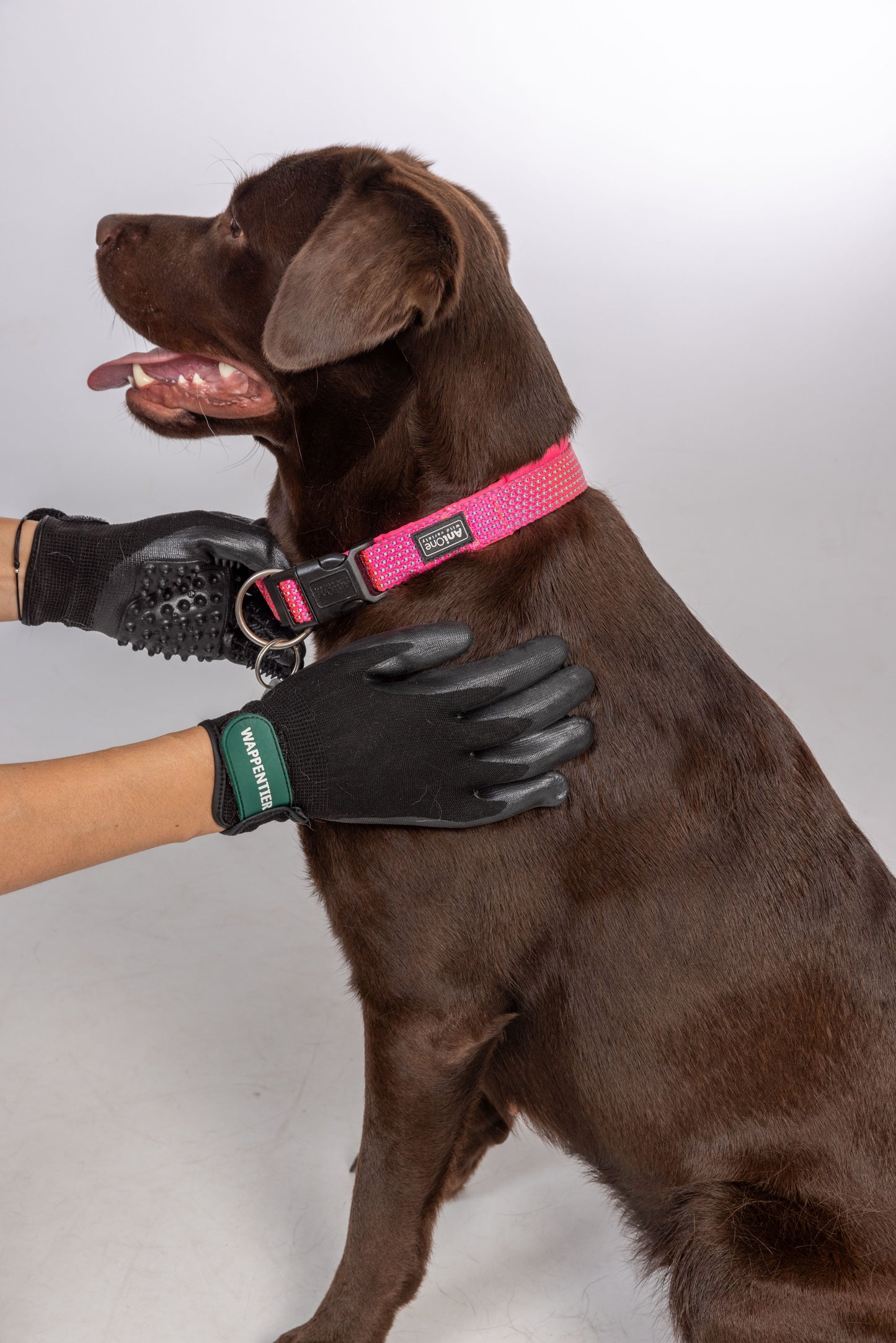 grooming glove