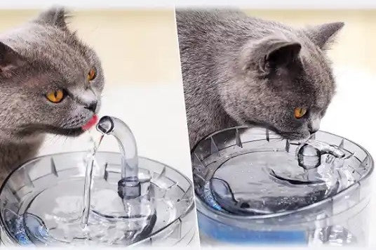 Automatic Pet Water Dispenser