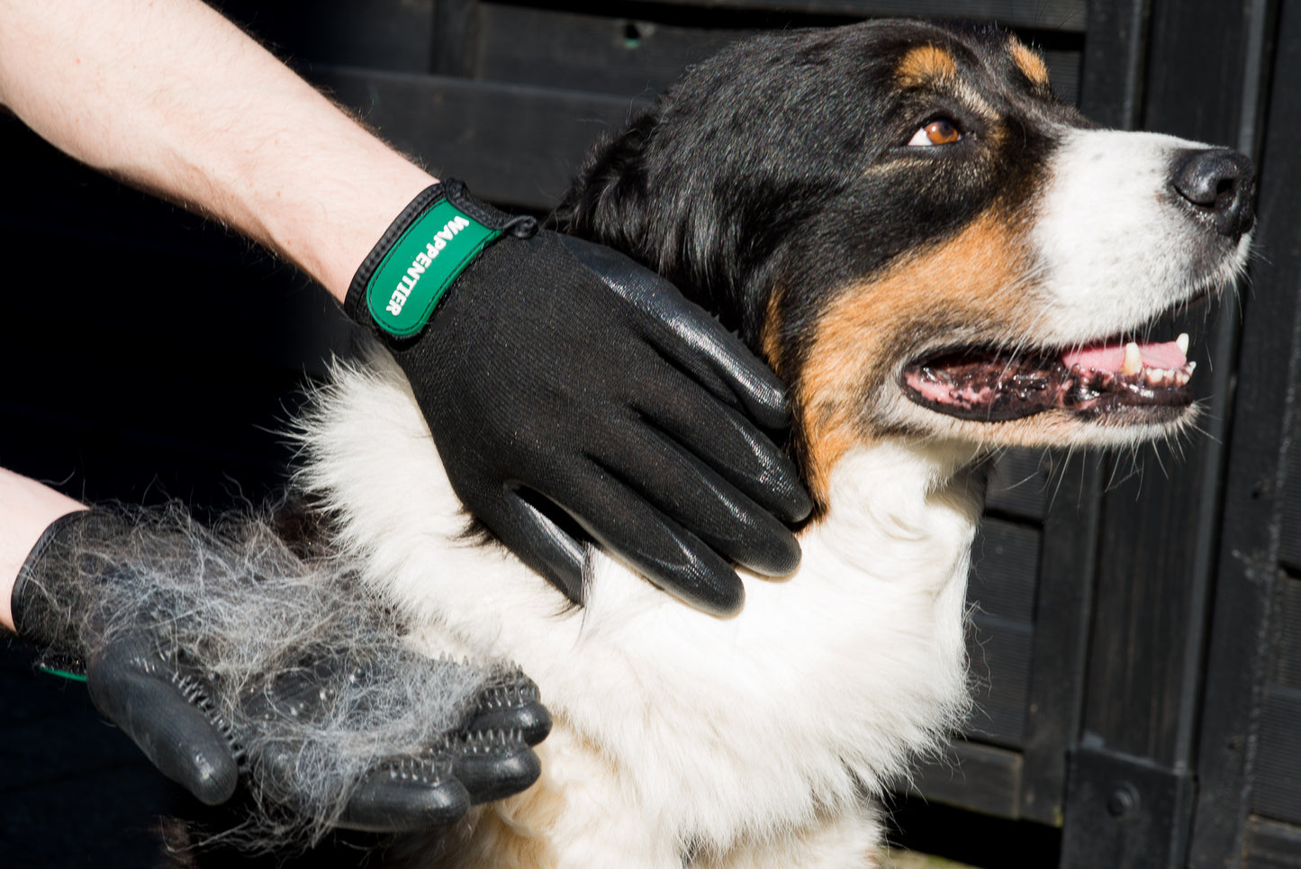 grooming glove