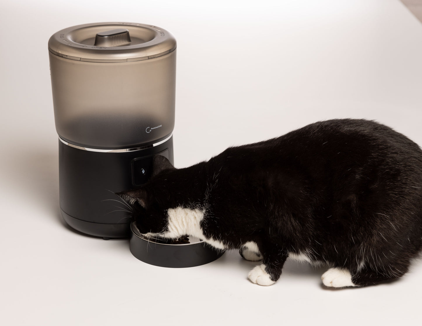 Automatic dry food dispenser, 4 liters